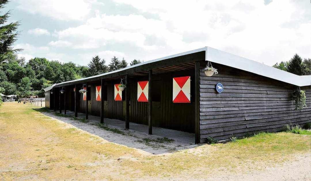 Prachtig Chalet In De Bossen Nunspeet Exteriér fotografie